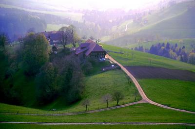 v3/83/550183/3/50415531.campagnebernoise.jpg
