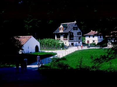 v3/83/550183/3/50552539.Ballenberg.jpg