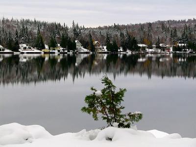 v3/83/550183/3/51405440.leschaletsduborddulac.jpg