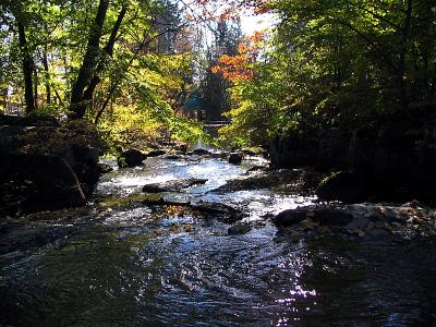 le ruisseau du zoo