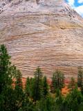 zion park