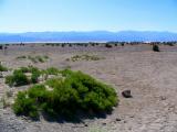 death valley