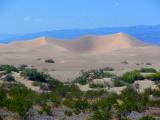 les dunes