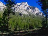 mount charleston