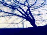 ombre sur fond blanc