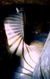 le chat en haut de l'escalier