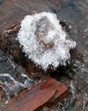 le capuchon de glace