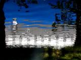 reflet de Maizerets