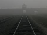 The door of suffering (Auschwitz Concentration Camp)