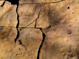 fissures