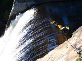 la branche et la chute