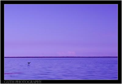 Biscayne Bay