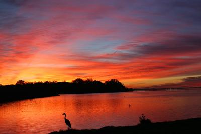 Niagara River Sunrise 01