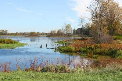 Tonawanda Wildlife Management Area 01