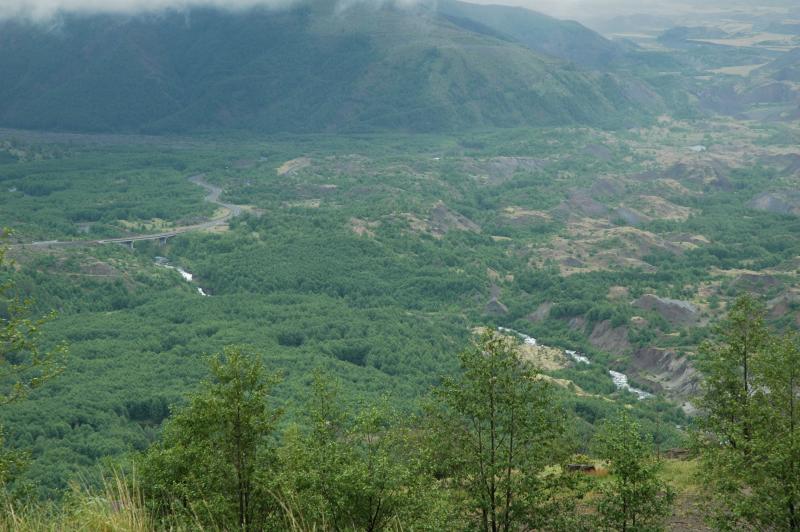 Hummocks