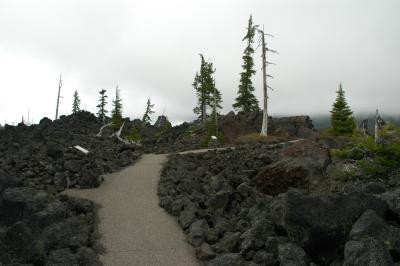 McKenzie Pass Lava Field