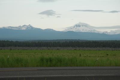 DSC_3543.jpg