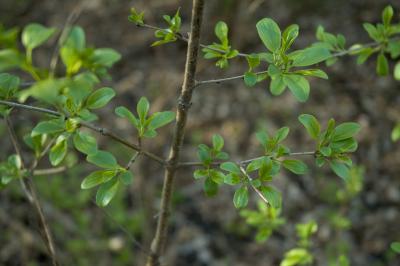 DSC_3170_1.jpg