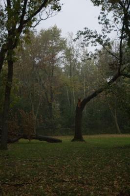 DSC_3910.jpg