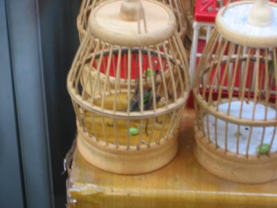 fancier cage for crickets