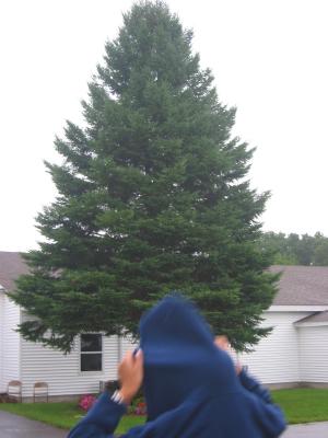 170-7004_IMG.JPG