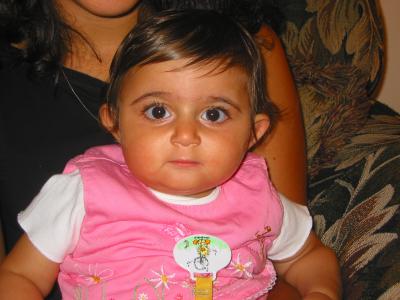 171-7190_IMG.JPG
