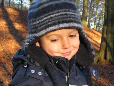 In a fall forest (Jgerspris)