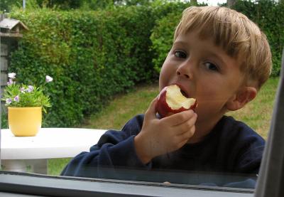 An apple a day.......