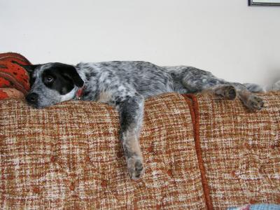 Shadow at rest.