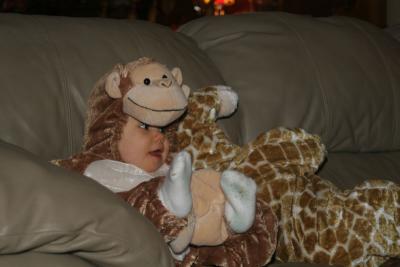IMG_1231a.jpg