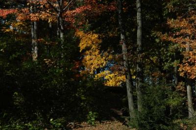 ir-DSC_0017.jpg
