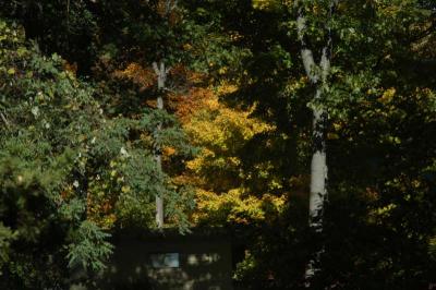 ir-DSC_0018.jpg