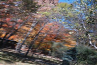 ir-DSC_0020.jpg