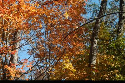ir-DSC_0021.jpg
