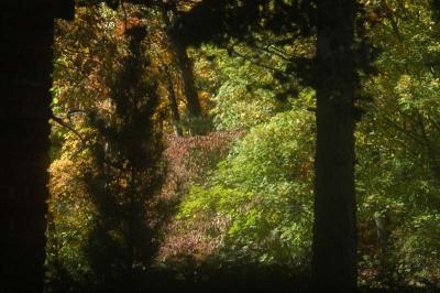 ir-DSC_0023.jpg