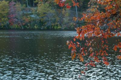 the coral above Hessian Lake in Bear Mountain State Park