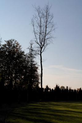 Image00016.jpg