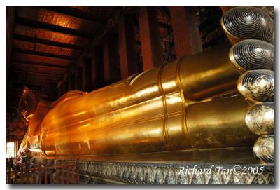 v3/83/66483/3/44191233.Bangkok106.jpg