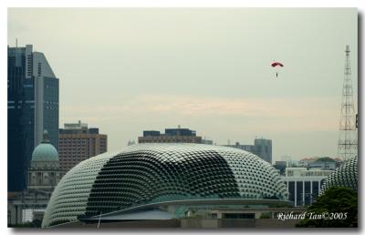 NDP2005 645.jpg