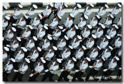 NDP 029.jpg