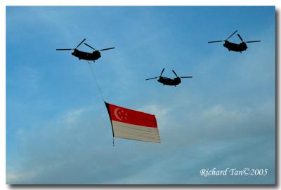 NDP 116.jpg