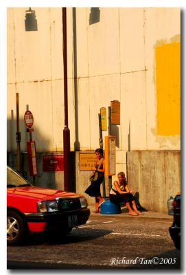 Golden hour....jpg
