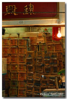 Yeun Po Street Bird Garden 02.jpg