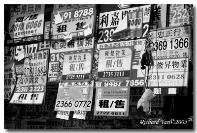 DSC_6575 BnW.jpg