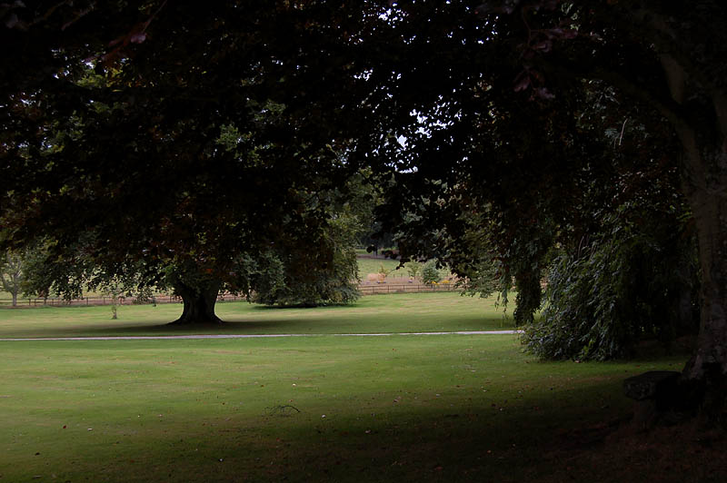 green2.jpg