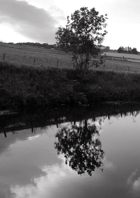 DSC_0083s.jpg