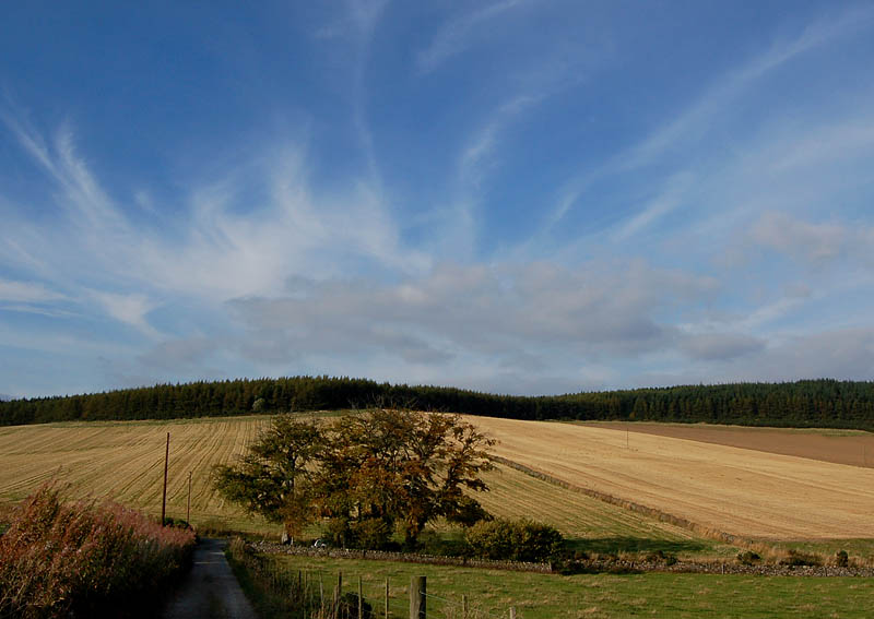 DSC_0001s.jpg