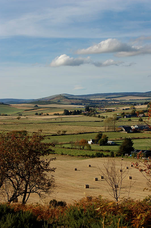 DSC_0025s.jpg