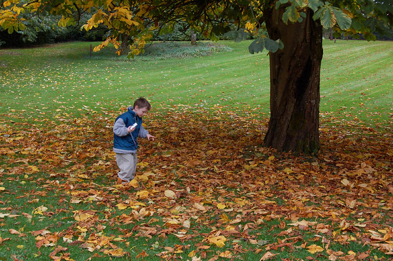 16th October 2005 conkers