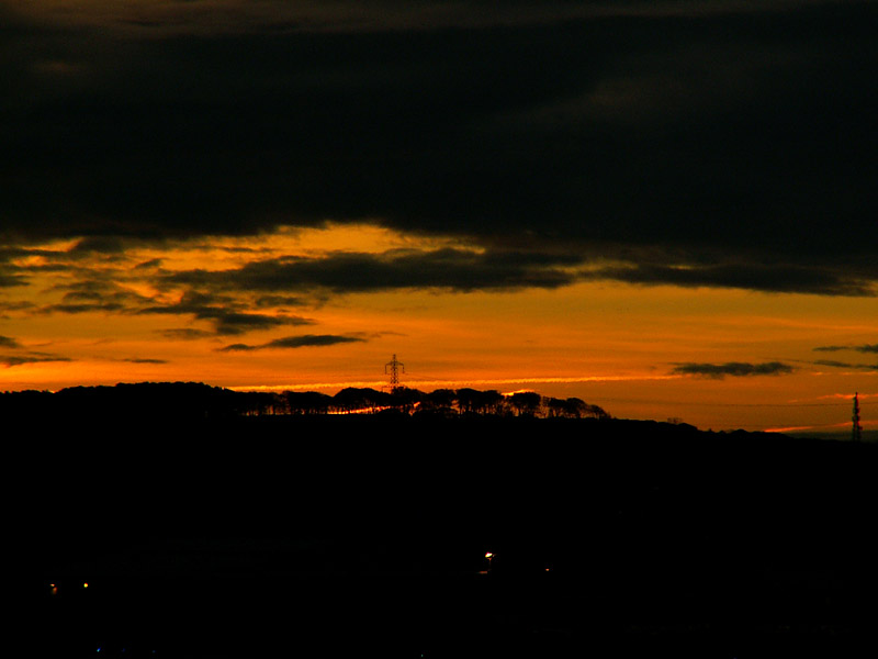 PICT0002s.jpg